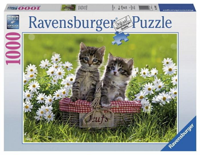 1000 |   Ravensburger – 1000 Piece – Picnic In The Meadow 1000 1000