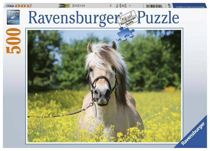 500-750 |   Ravensburger – 500 Piece – White Horse 500-750 500-750